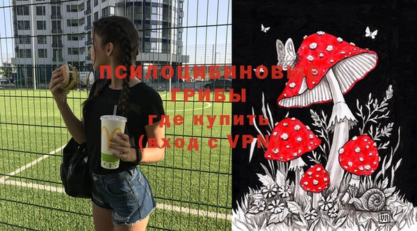 винт Осинники