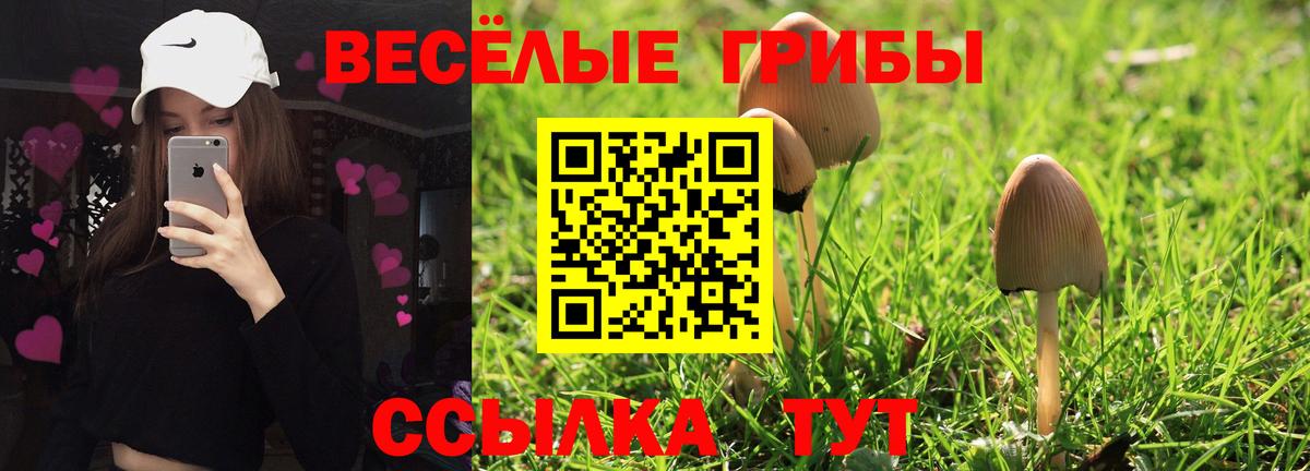 Галлюциногенные грибы MAGIC MUSHROOMS Киреевск