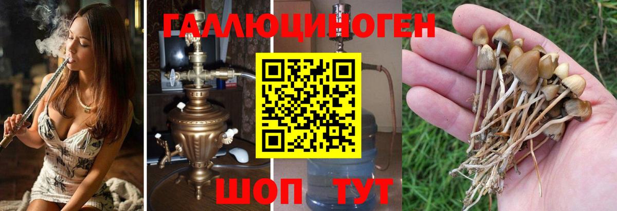 Киреевск  Галлюциногенные грибы Psilocybe  Псилоцибиновые грибы MAGIC MUSHROOMS  Вход с VPN 