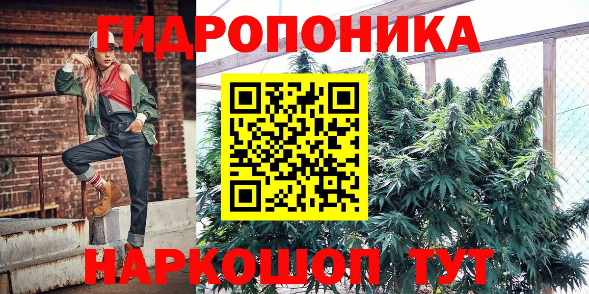 Марихуана конопля Киреевск